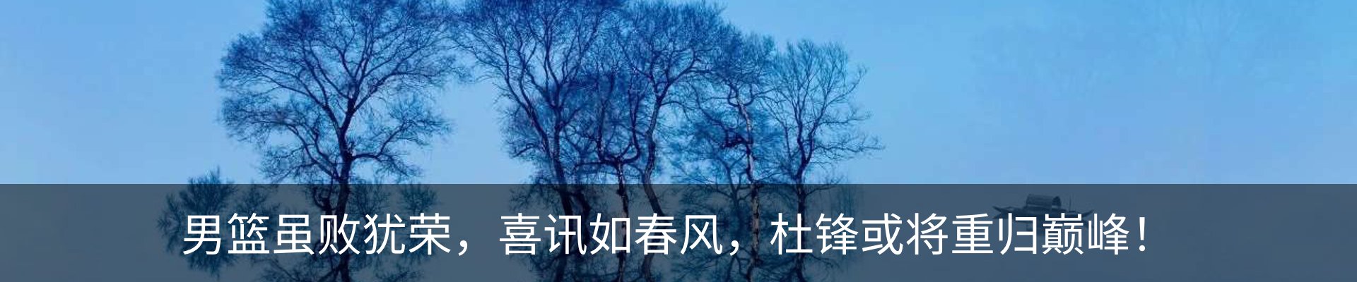 最新动态